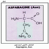    Aspragine, Asn