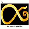  (Ascaris spp)
