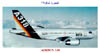 AIRBUS 318